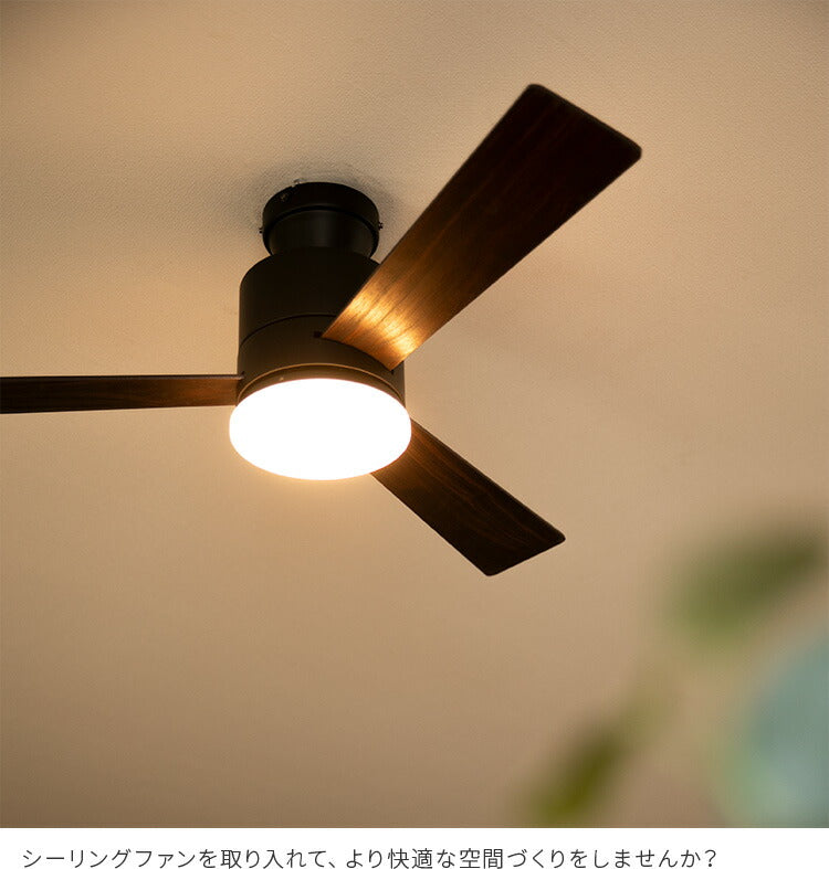 LEDシーリングファンライト バズー シーリングファンライトファン 3