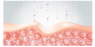 スーパージェクション20クリーム」が凄い！プロも注目するCONAPIDIL