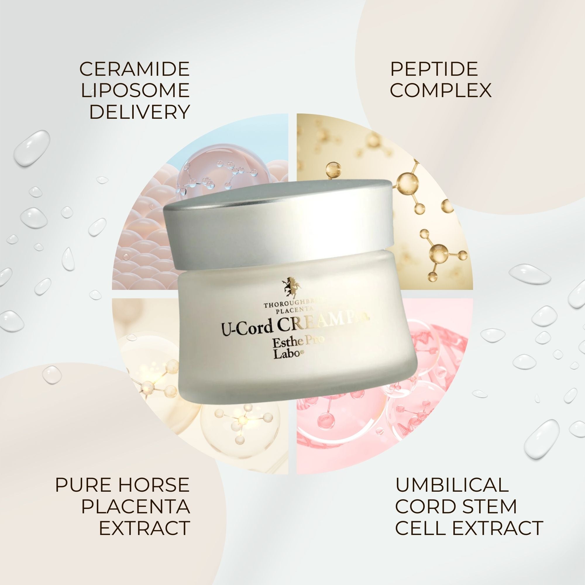 Beauty Ninja | Esthe Pro Labo Thoroughbred Placenta U-Cord Cream Pro