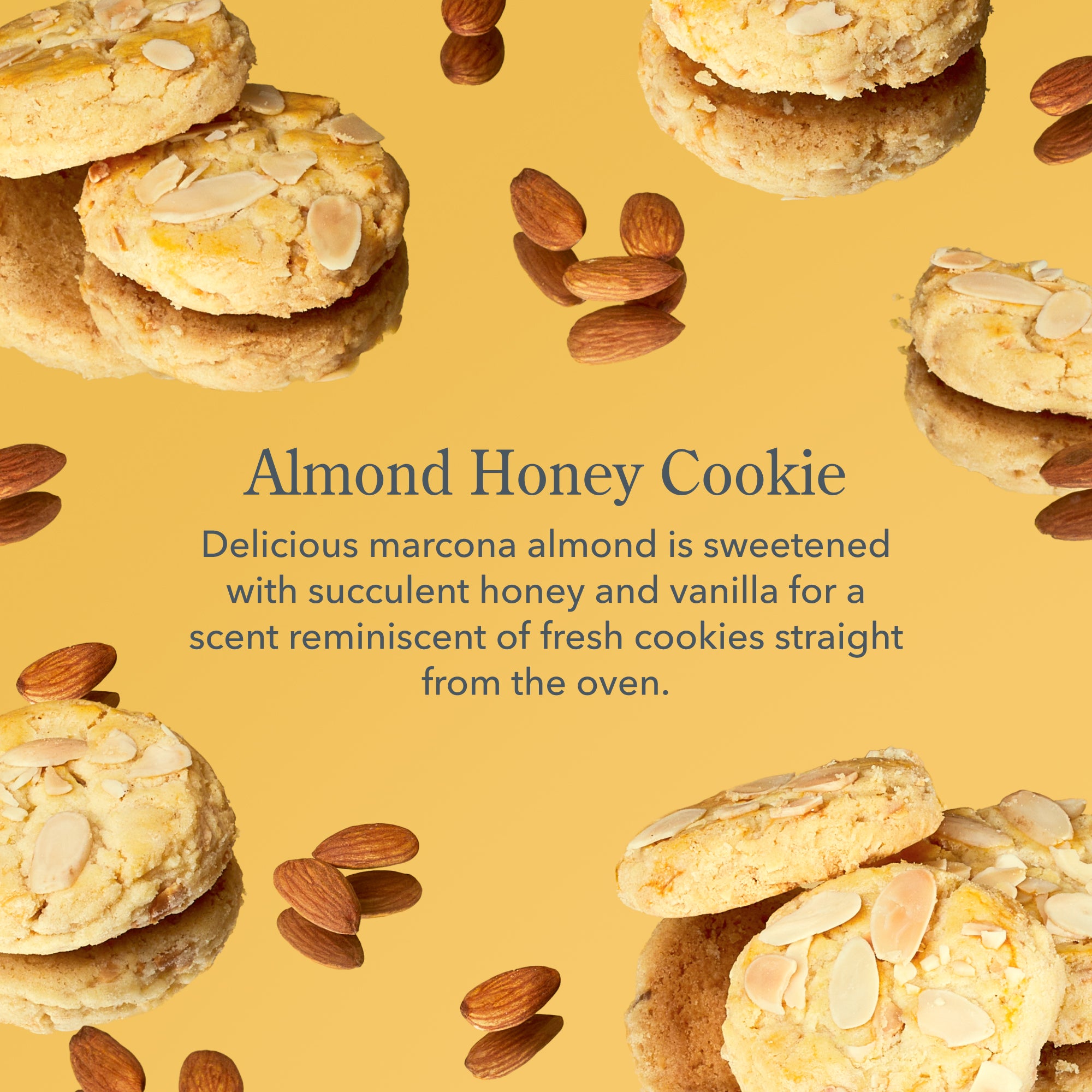 Almond Honey Cookie Mini Hand Cream Set of 3