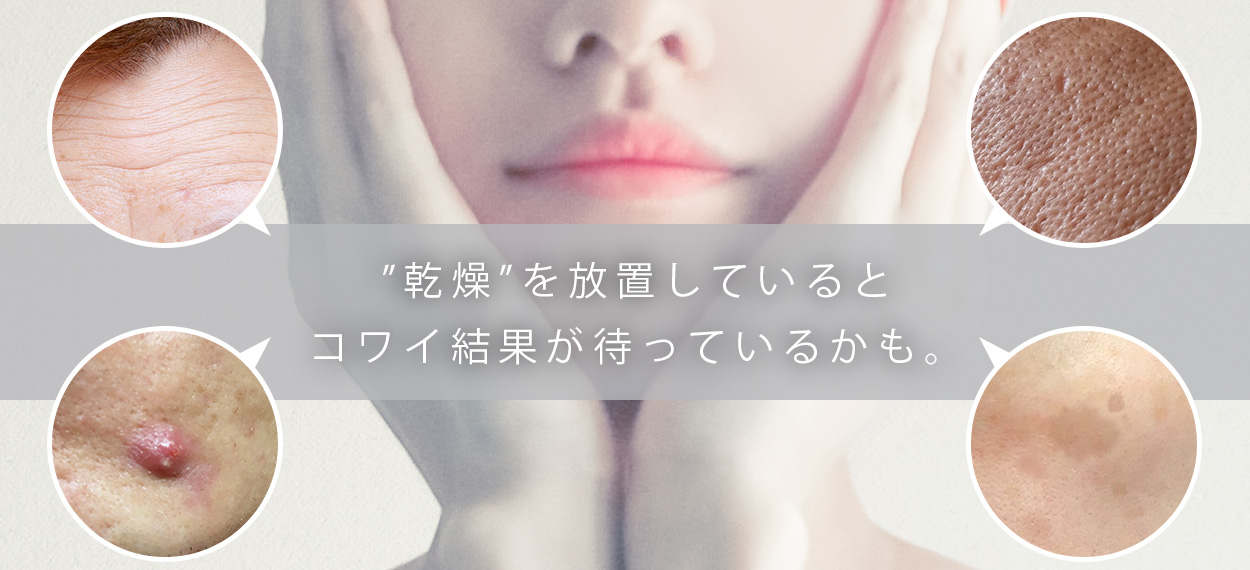 美ルル モイスミスト＜belulu MoisMist＞ビルル製品情報 | ミスト美顔器