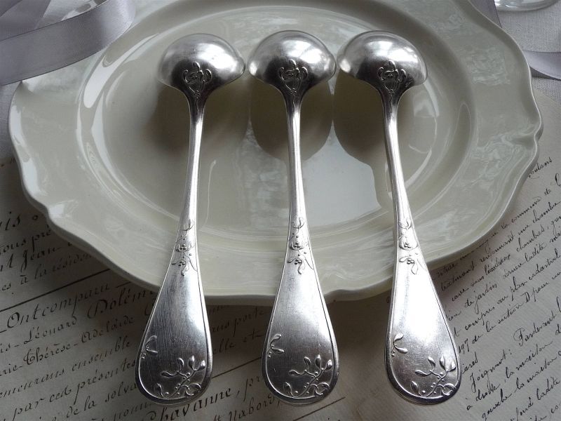 フランス ERCUIS ヤドリギ カトラリーセット フォーク＆スプーン - une