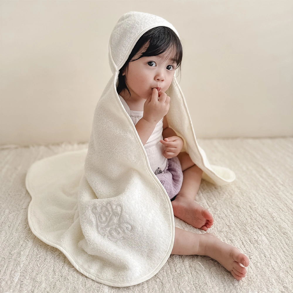 BABYL VIPパス&タオル WORLD TOUR 2016 EU BABYL VIPパス&タオルセット