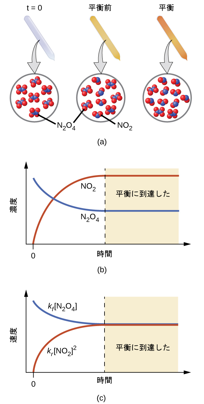 第13章 基本的な平衡の概念 | 化学 第2版