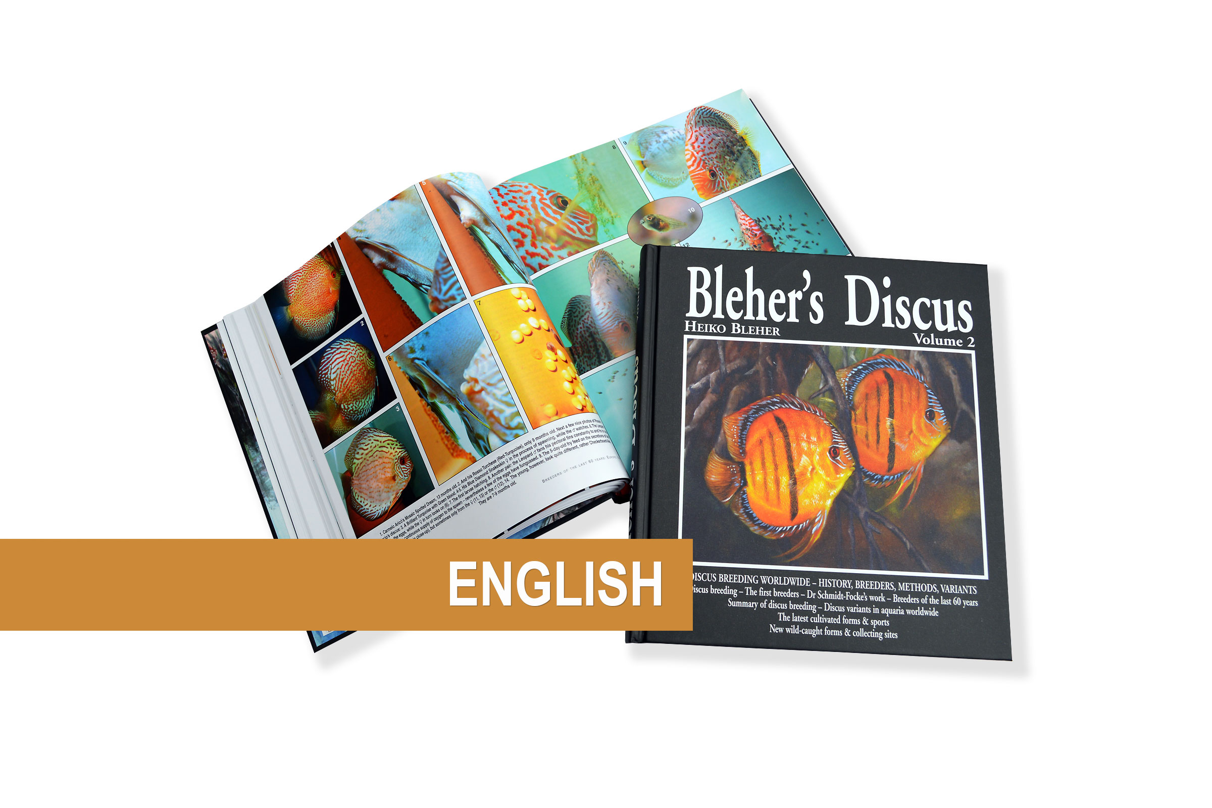 Bleher's Discus 1・2巻セット ディスカス Bleher's Discus 1・2巻