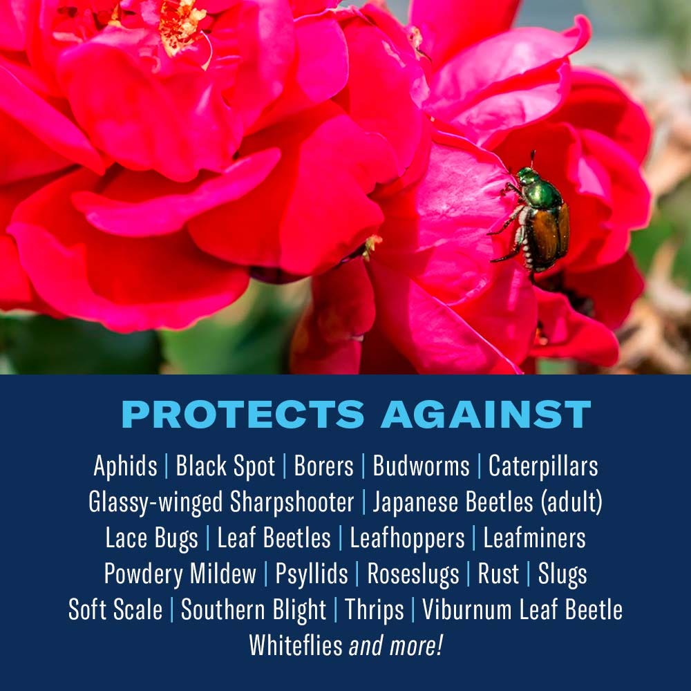 All-In-One Rose & Flower Care Granules | Bioadvanced