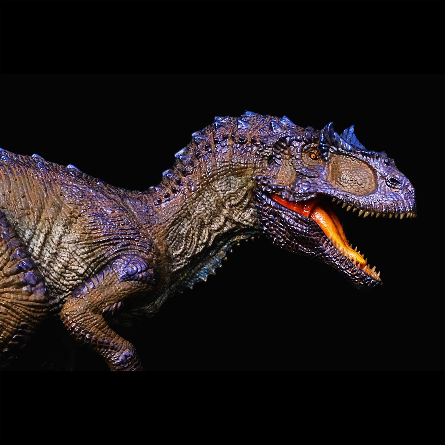 REBOR 1/35サイズ サウロファガナクス 異竜 肉食獣脚類 アロサウルス科