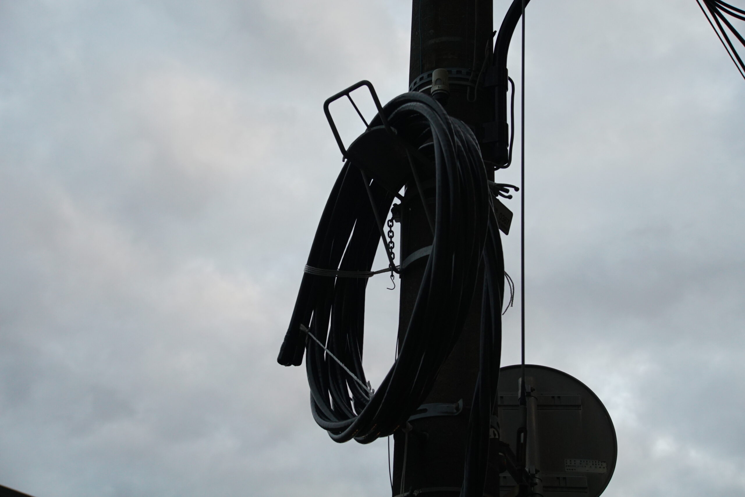 AI Zoom Nikkor 35～200mm F3.5～4.5Sとα7Sでお散歩写真 | Birdcageブログ