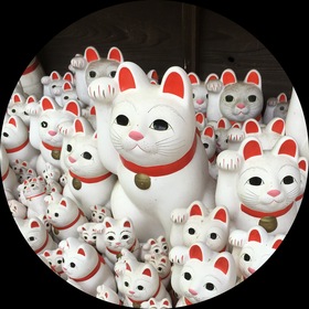 MORRIE 60th Birthday Celebration FLESH FATE FESTIVAL」5月28日映像