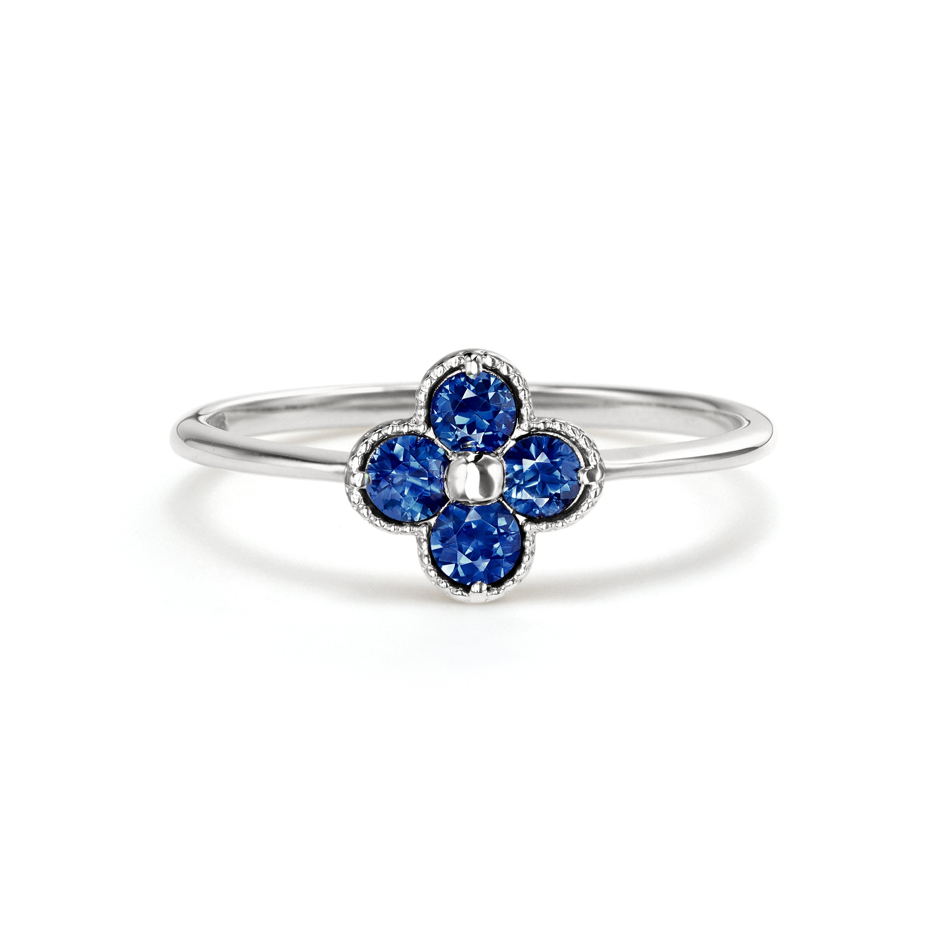 ビズー公式】ブルー サファイア PT K18(18金) リング アナイス | 希少