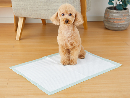 ボンビアルコン オンラインショップ / しつけるシーツW消臭neo ワイド