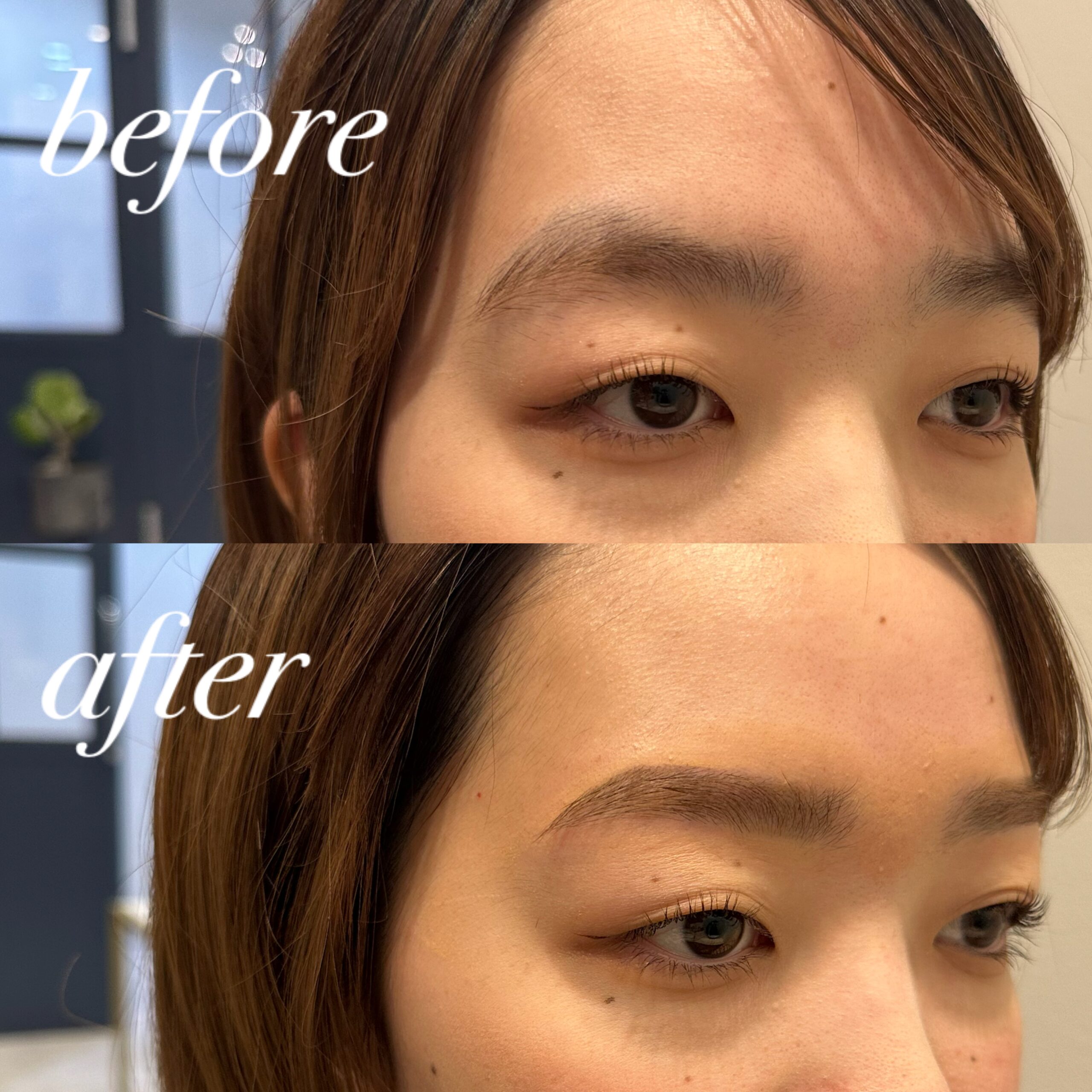 BONHEUR ボヌール