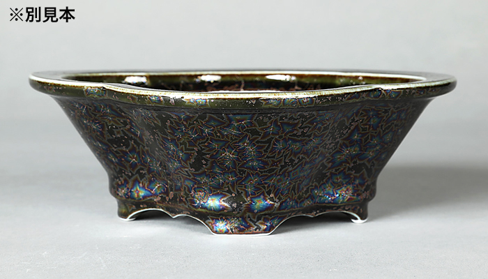 平安泉山黒釉星結晶木瓜式鉢(大) | 盆栽、盆栽書籍、盆栽鉢の通販