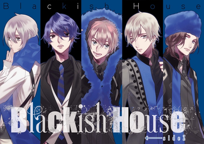ブラキッシュハウス Blackish House sideA→ ←sideZ ブラキッシュ