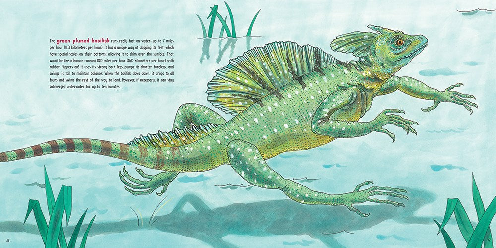 Lizards at Large: 21 Remarkable Reptiles at their Actual Size