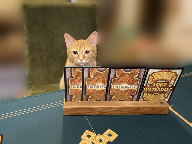 ウォーターディープの支配者たち Lords of Waterdeep - ボードゲームのこと