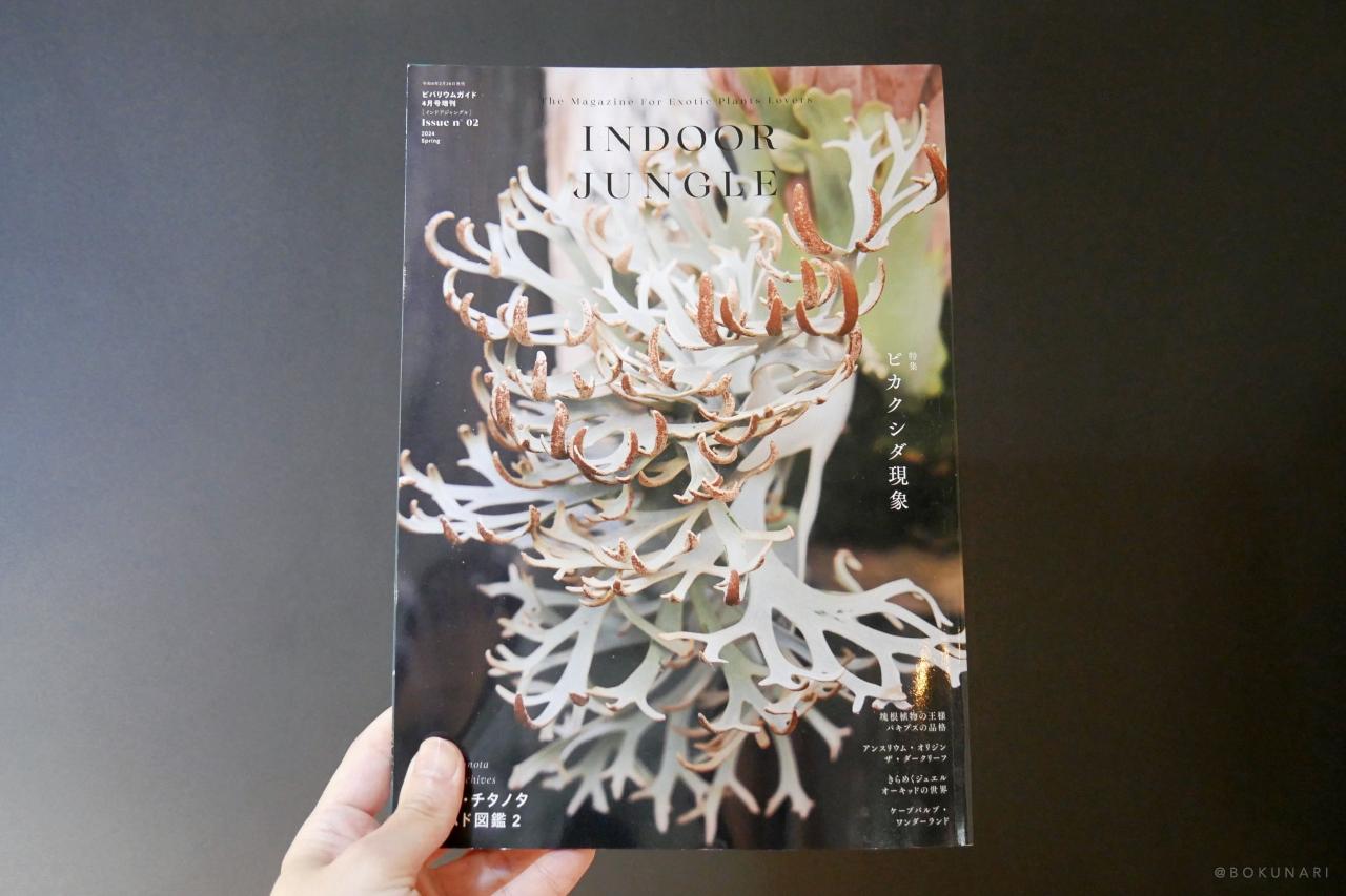 レビュー】INDOOR JUNGLE（インドアジャングル） No.02 特集