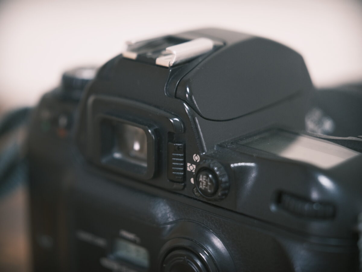 フィルムカメラレビュー。「Nikon F80」 | BORN SURE blog