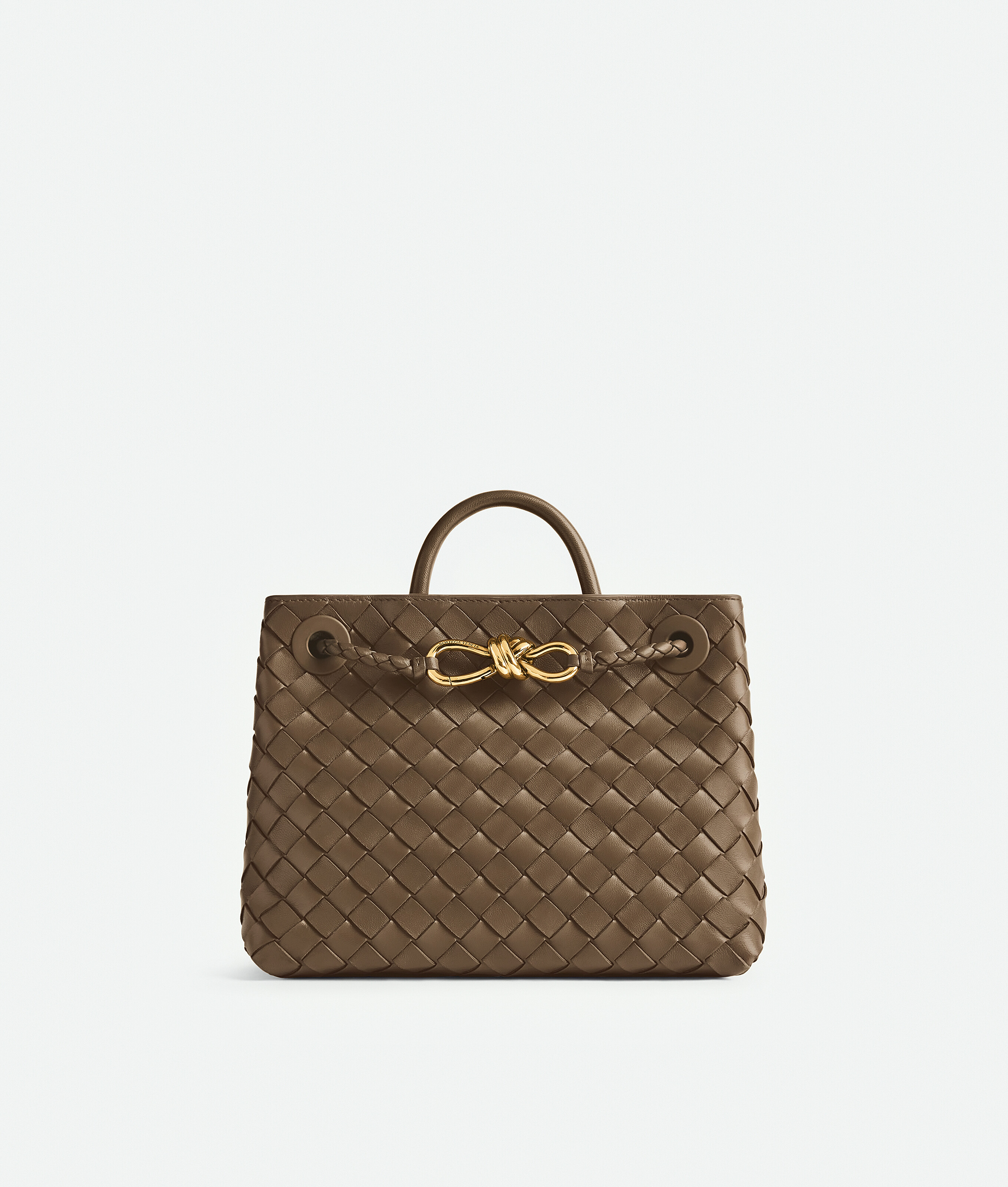 Women's Small Andiamo in Pinecone | Bottega Veneta US