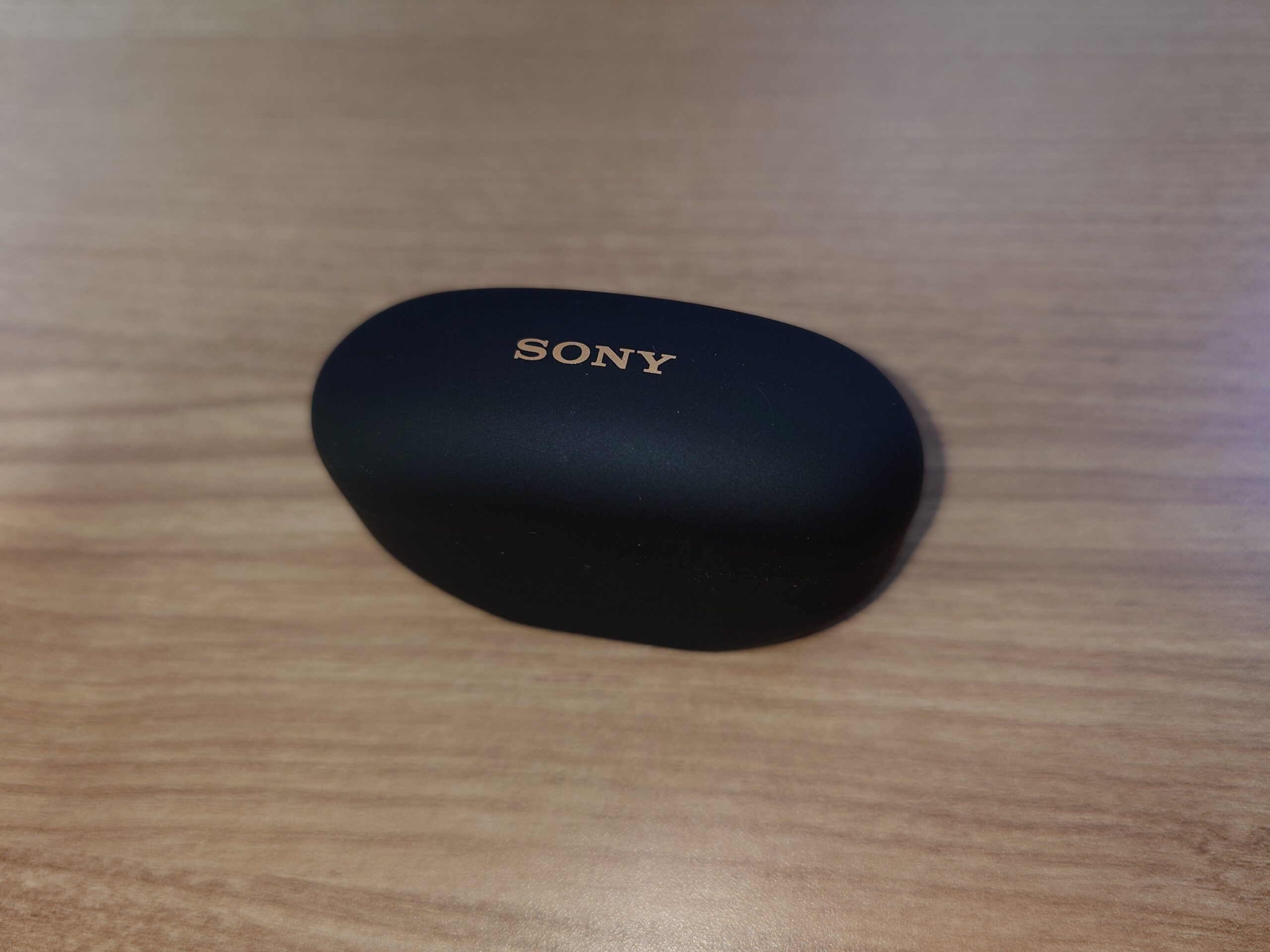 ワイヤレスイヤホン WF-1000XM5を丸ごと紛失した時には | とむじそブログ