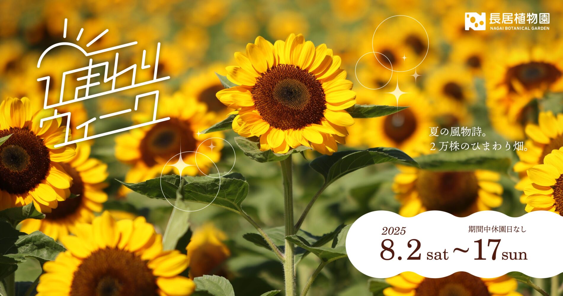 ひまわりウィーク | イベント情報 | 大阪市立長居植物園