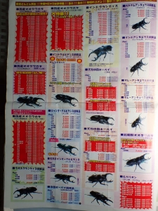 昔の奈良オオクワセンターのカタログ | クワガタ飼育日記