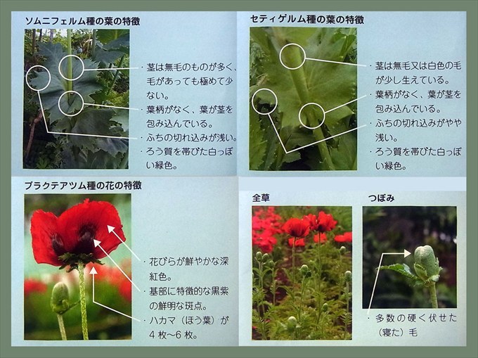 345 いけません | うちのガラクタ