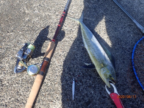 ワールドシャウラ 、入魂！【ライトショアジギング】 - 原人のCatch & Eat