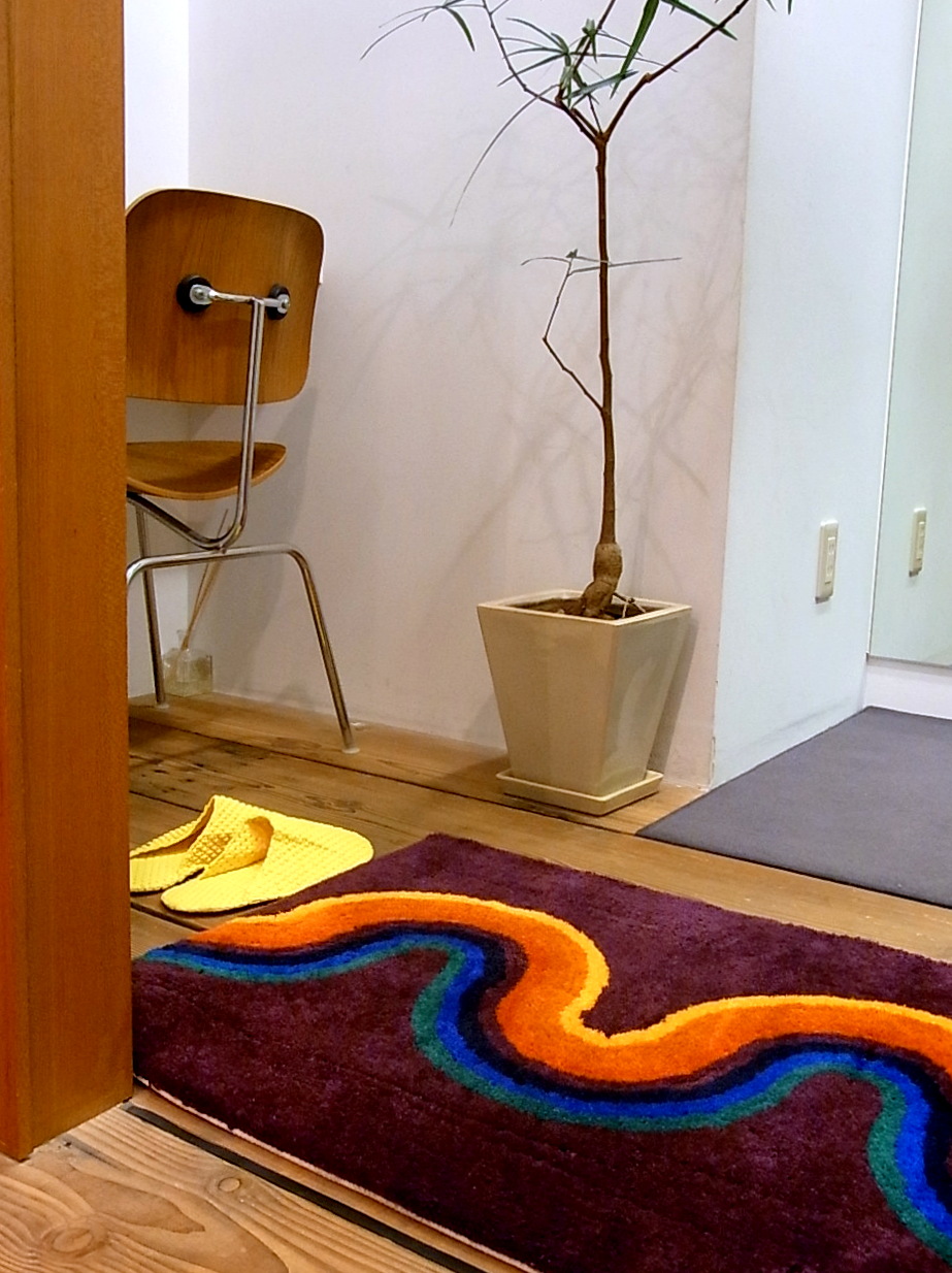 レギュラーラグ コーディネート画像 - Mid-Century MODERN Blog