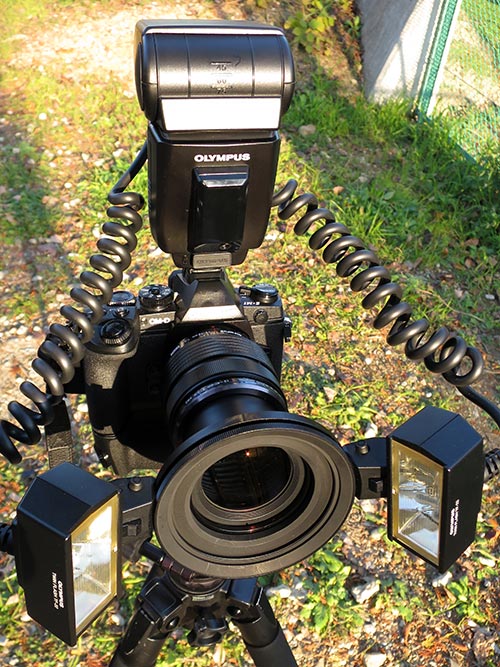 驚異のマクロ機能 M.ZUIKO DIGITAL ED 12-40mm F2.8 PRO