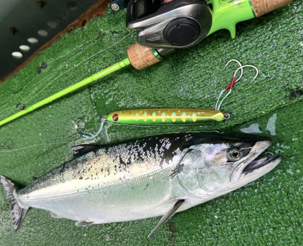 GIGRIP】新ブランドよりサクラマスに効くジグ”AMENOUO l アメノウオ”が