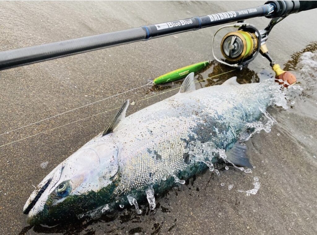 Blue Blue】BALBAL99 Jerking Edition バルバル99 ジャーキング