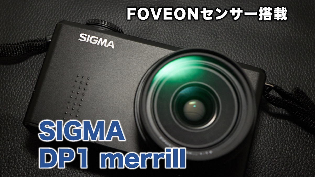 レビュー】FOVEONセンサー搭載機 SIGMA DP1 merrill の使用感 | カメラ