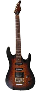 ARIA/ARIA PRO II ELECTRIC: MAGNA SERIES Models