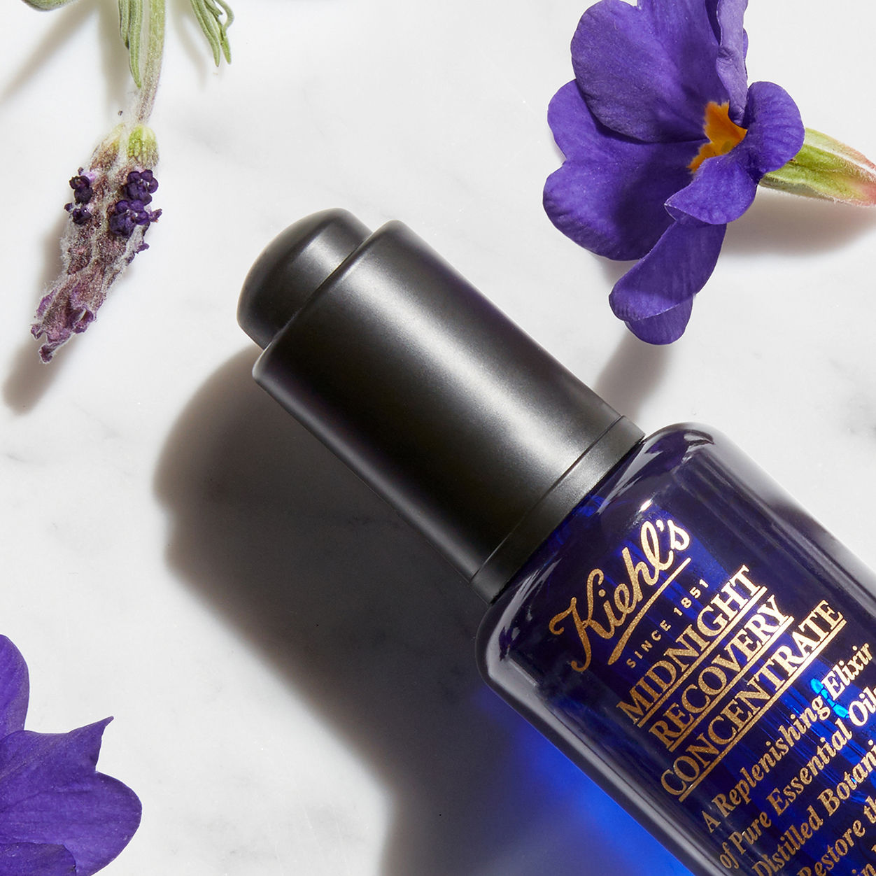 Kiehl's Since 1851 Midnight Recovery Concentrate – Kiehl's Since