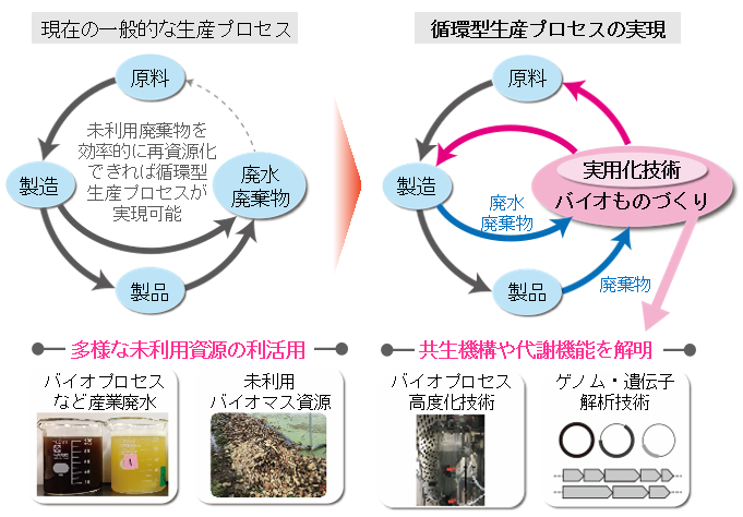 持続可能な社会形成に向けた新規バイオテクノロジーの開発 – 国立研究