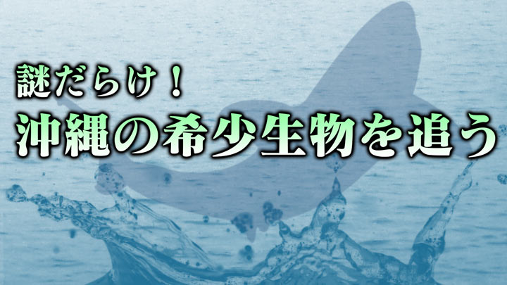 506eb6c685661c63d4b8d8f4a382.