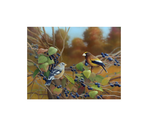 Bradley Jackson | Wildlife Artist