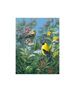 Bradley Jackson | Wildlife Artist