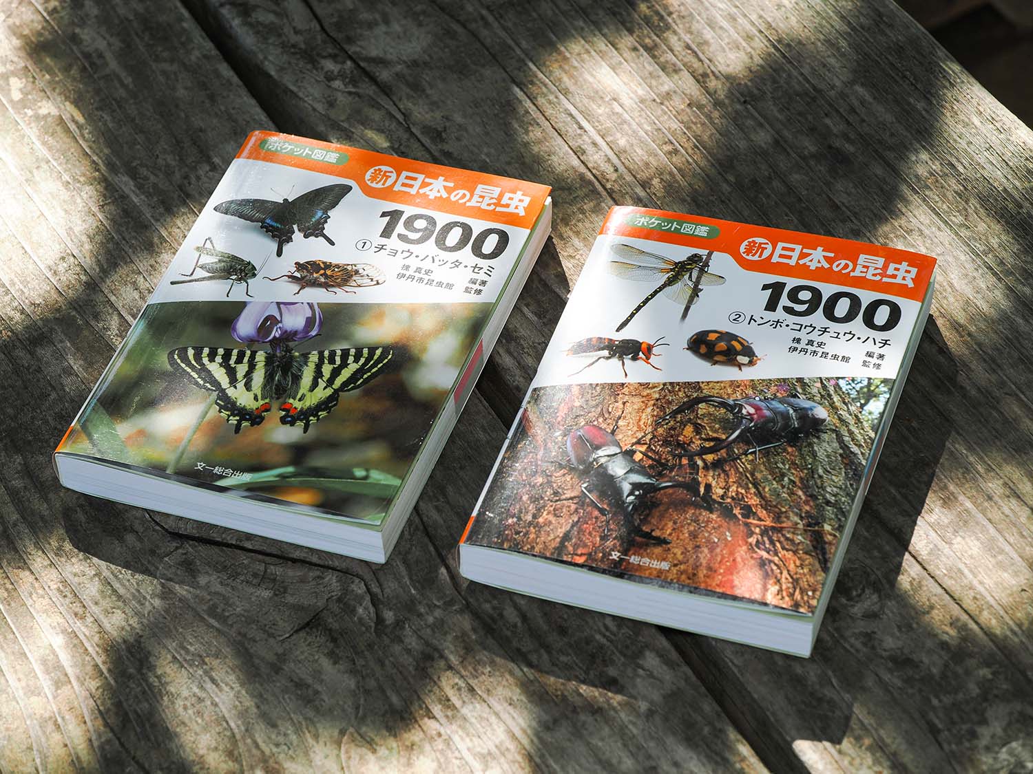 図鑑を持って野に出よう -『ポケット図鑑 新 日本の昆虫1900』-｜記事