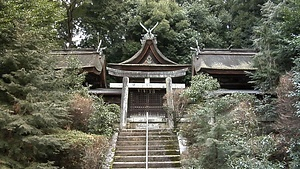 建水分神社本殿 （左殿） 文化遺産オンライン