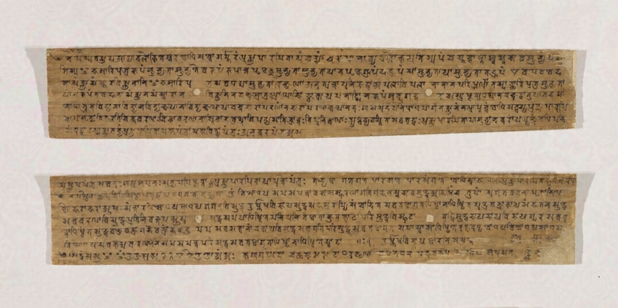 梵本心経并尊勝陀羅尼（貝葉） 文化遺産オンライン