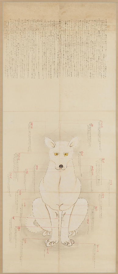 131010_461009784464582212813_9