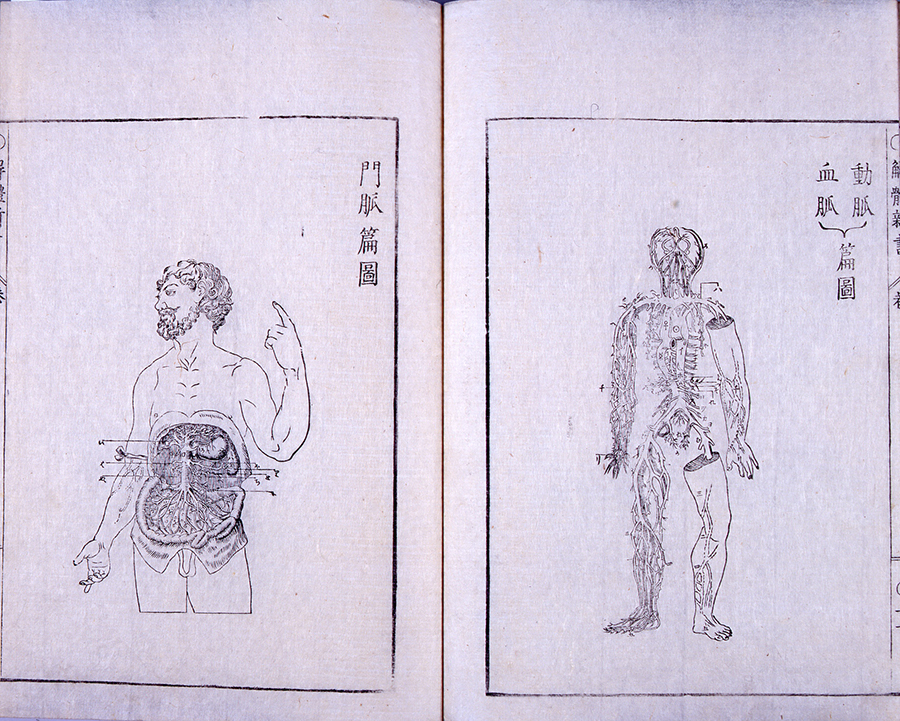 解体新書 文化遺産オンライン