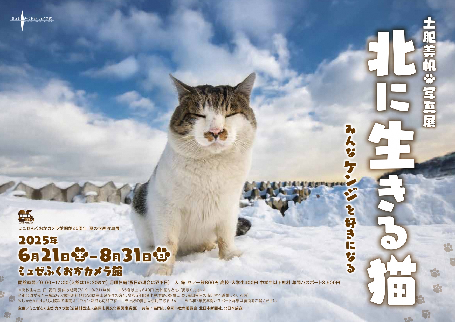 土肥美帆写真展 北に生きる猫－みんなケンジを好きになる－】ミュゼ