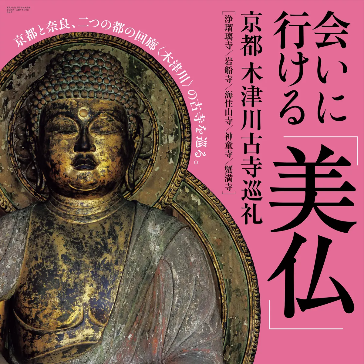 会いに行ける｢美仏｣京都木津川古寺巡礼(京都) | 特別公開 | 仏像