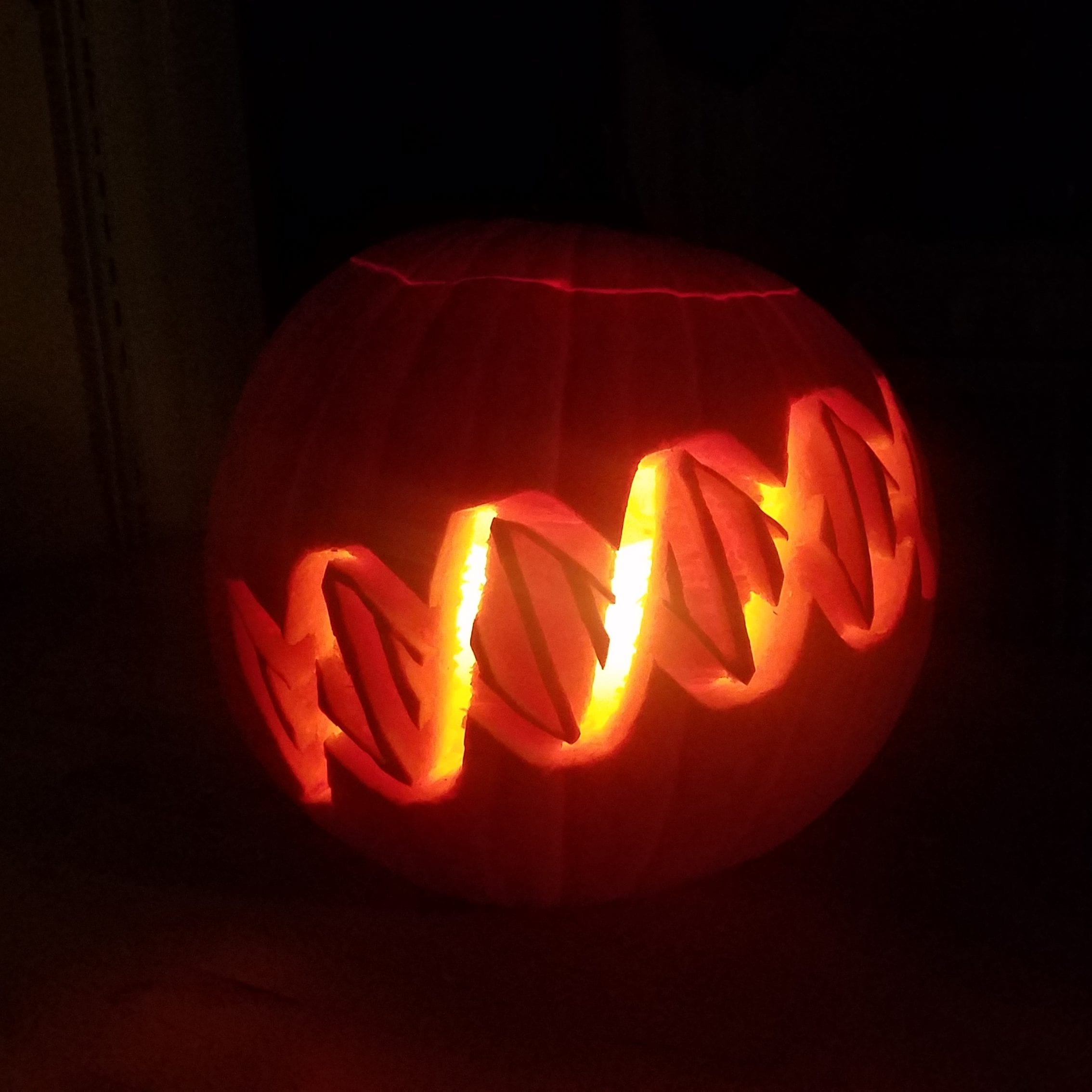 Pumpkin genomes sequenced revealing uncommon evolutionary history