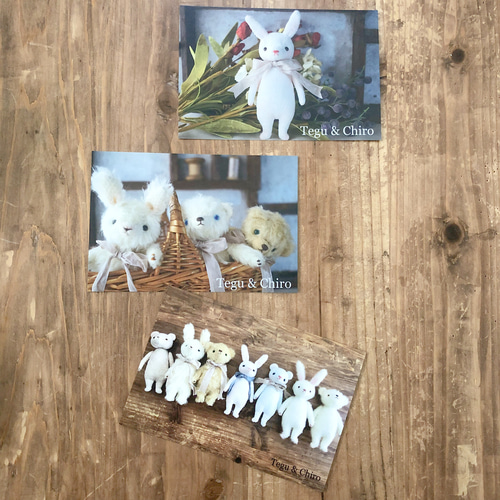 ぬいぐるみポストカード3枚セット ポストカード Tegu & Chiro 通販