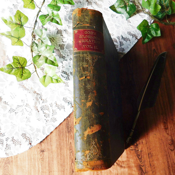 ゜+ 19世紀 英国の百科事典 アンティークブック ヴィンテージ本 洋書