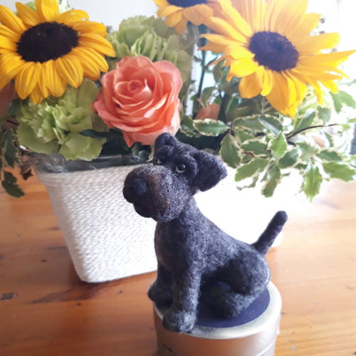 ミニチュアシュナウザー黒 羊毛フェルト manahata 通販 15961531